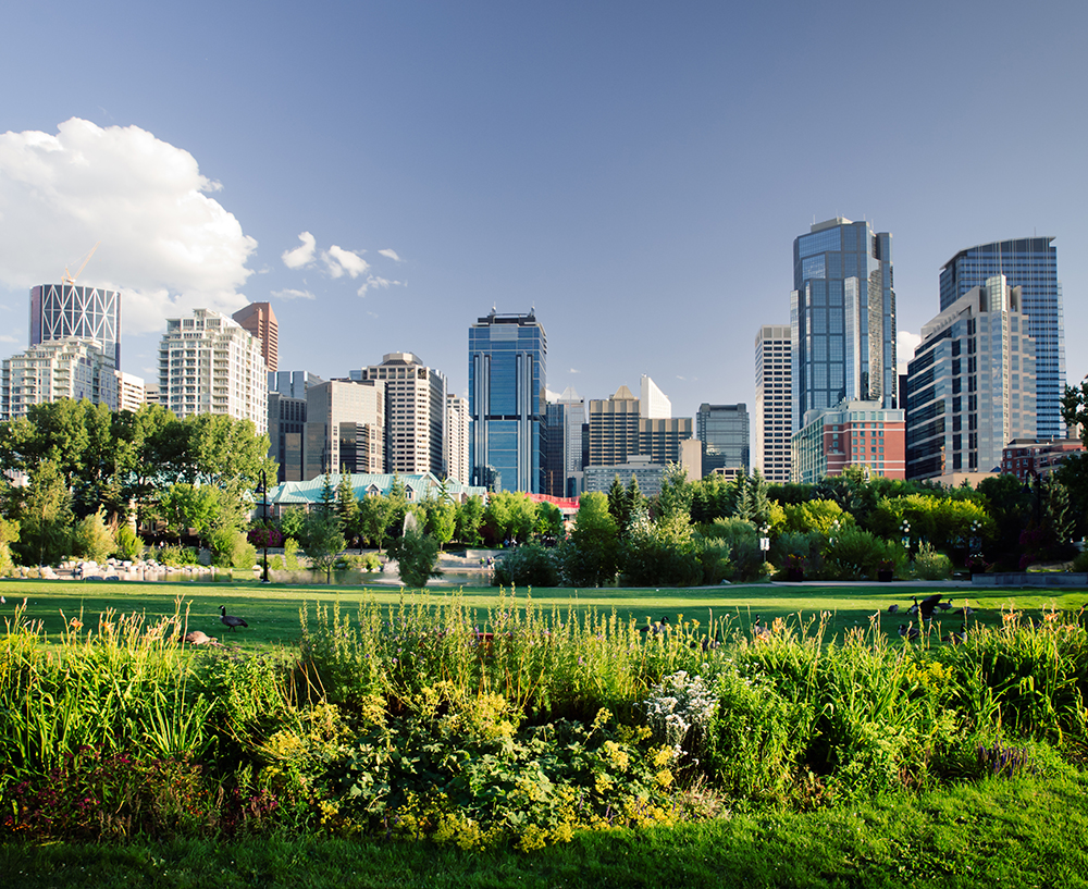 Property maintenance services in Calgary