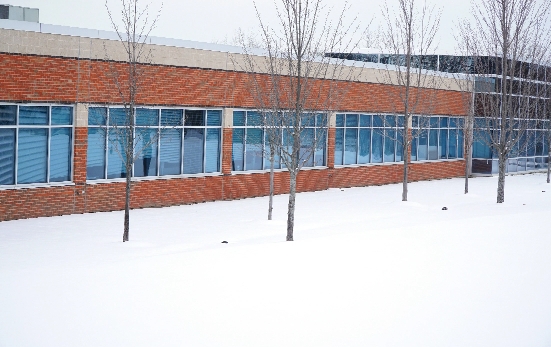 Snow & Ice Management Services