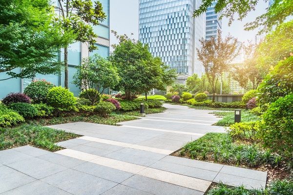 Greening Government Spaces: Eco-Friendly Solutions for Commercial Property Maintenance